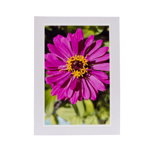 White Greeting Card | Pack of 3 | KJ Made