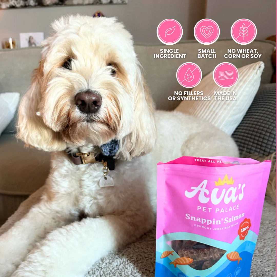 Crunchy Jerky Dog Treats - Snappin' Salmon