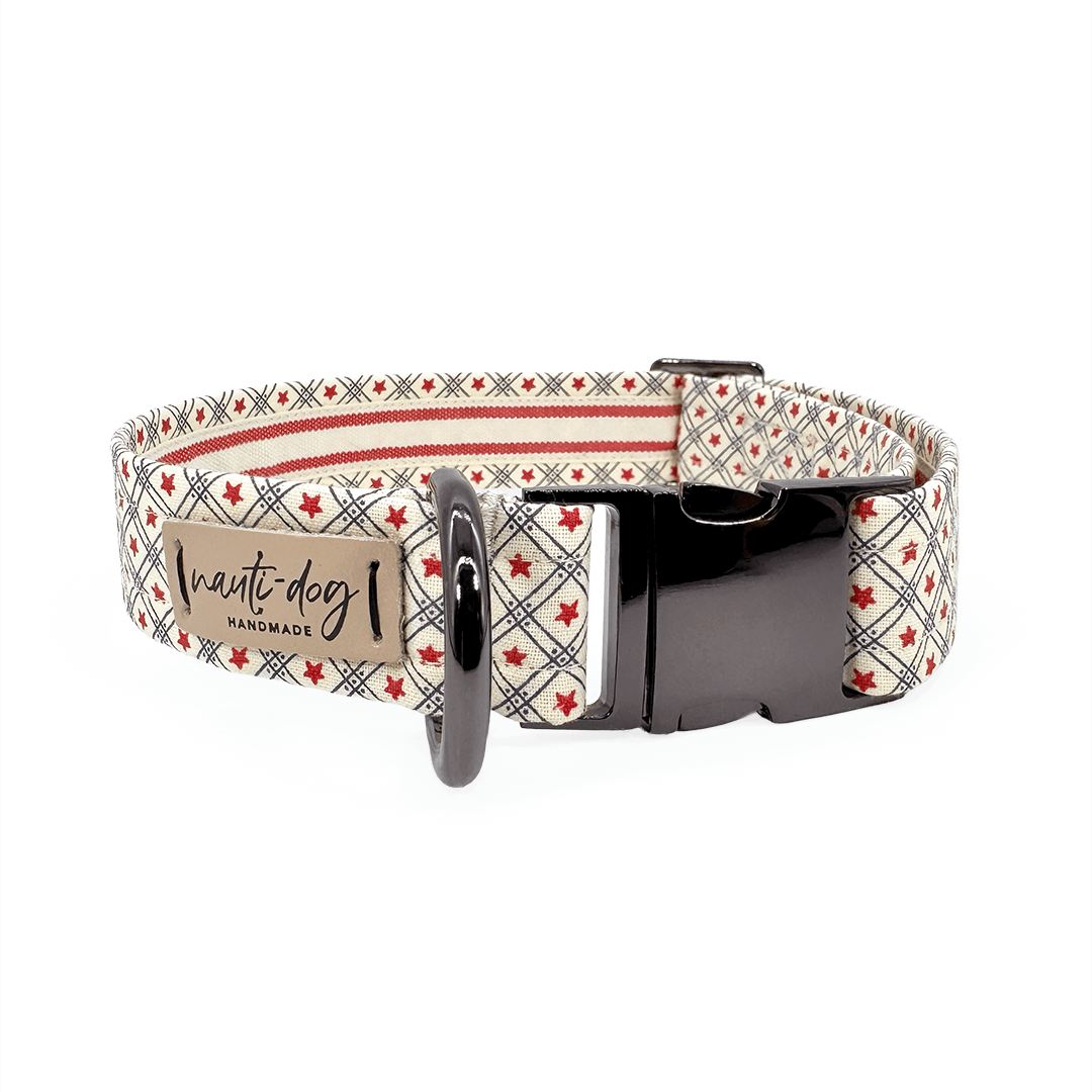 Betsy Ross Vintage Patriotic American Star Buckle & Martingale Dog Collar