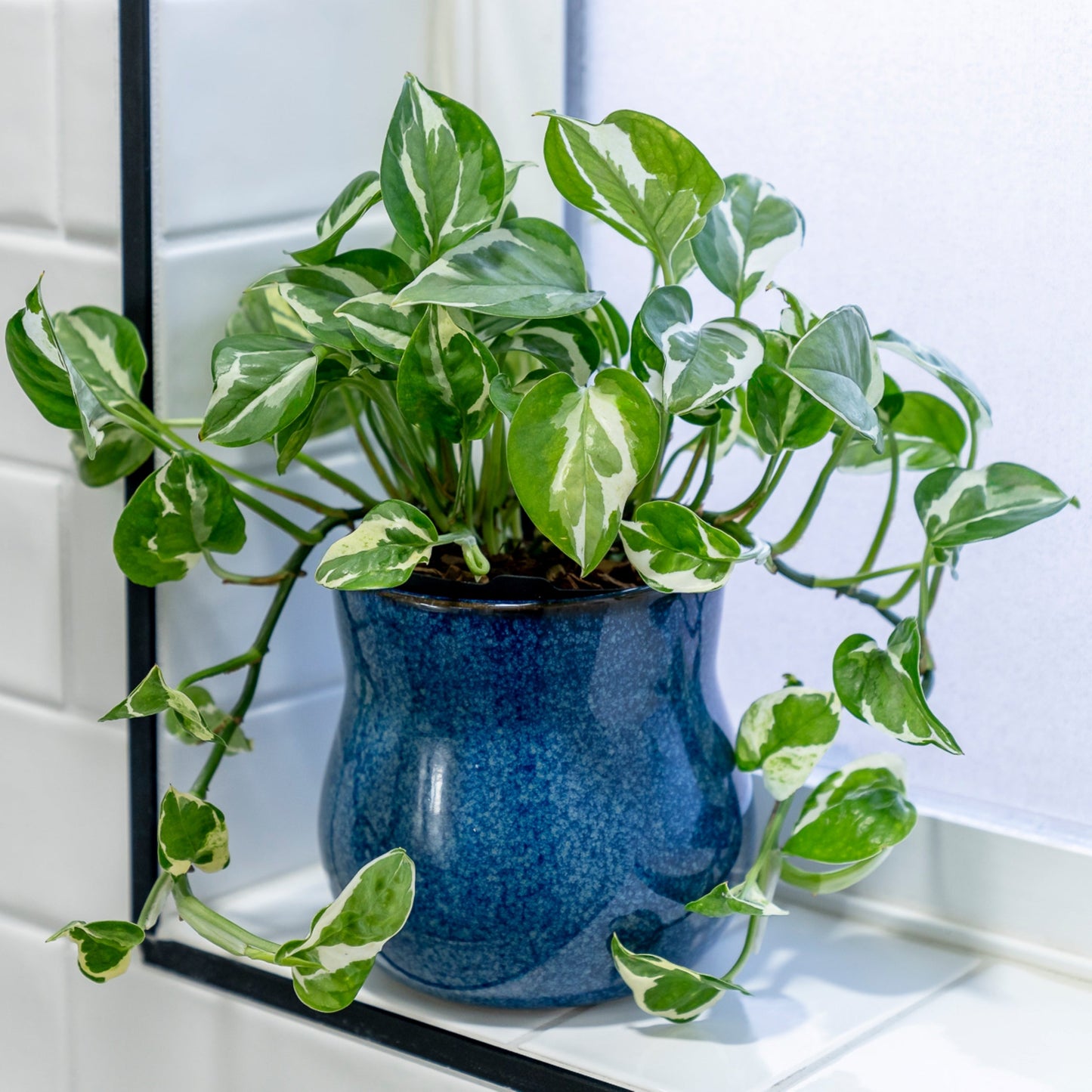 River Blue Plant Pot