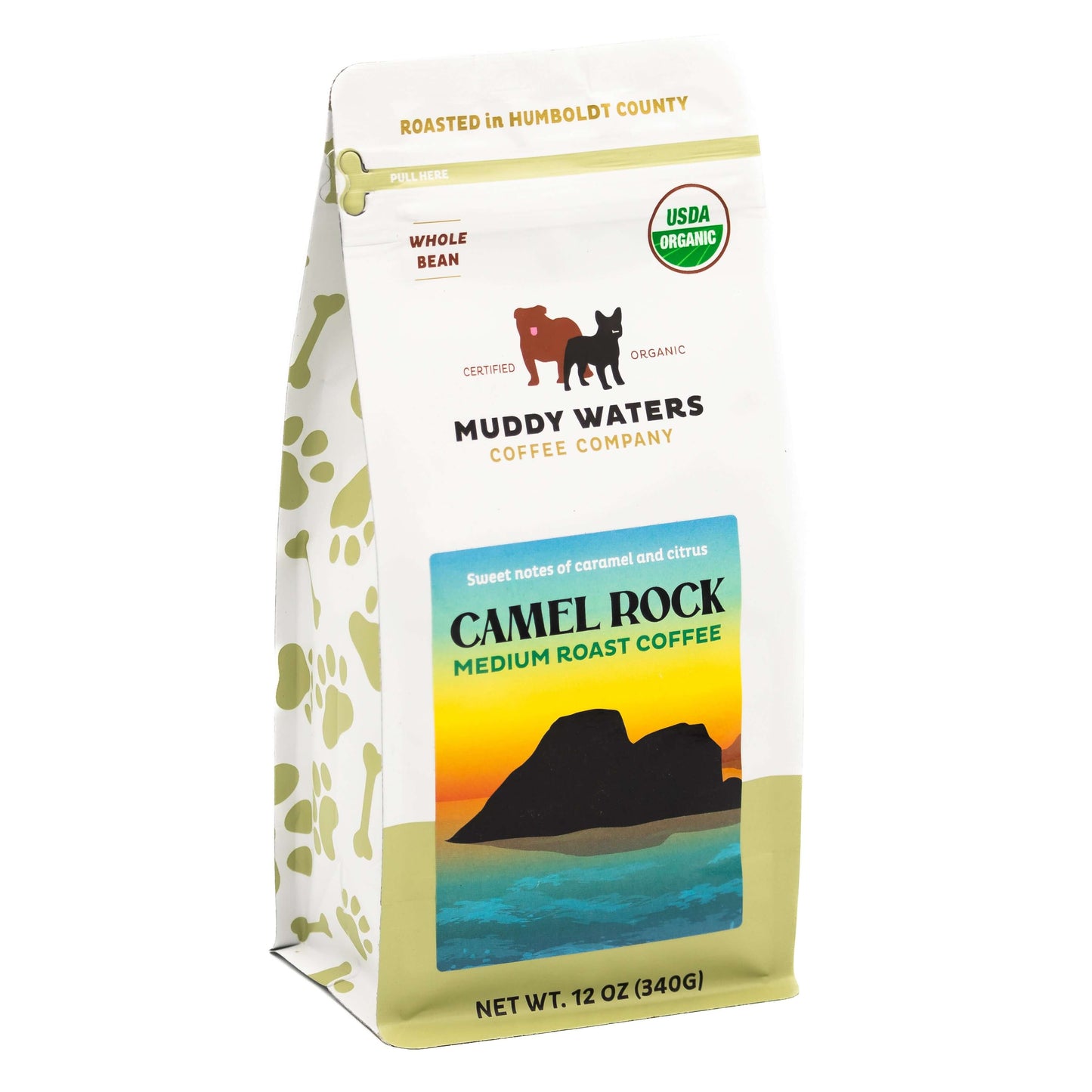 Camel Rock