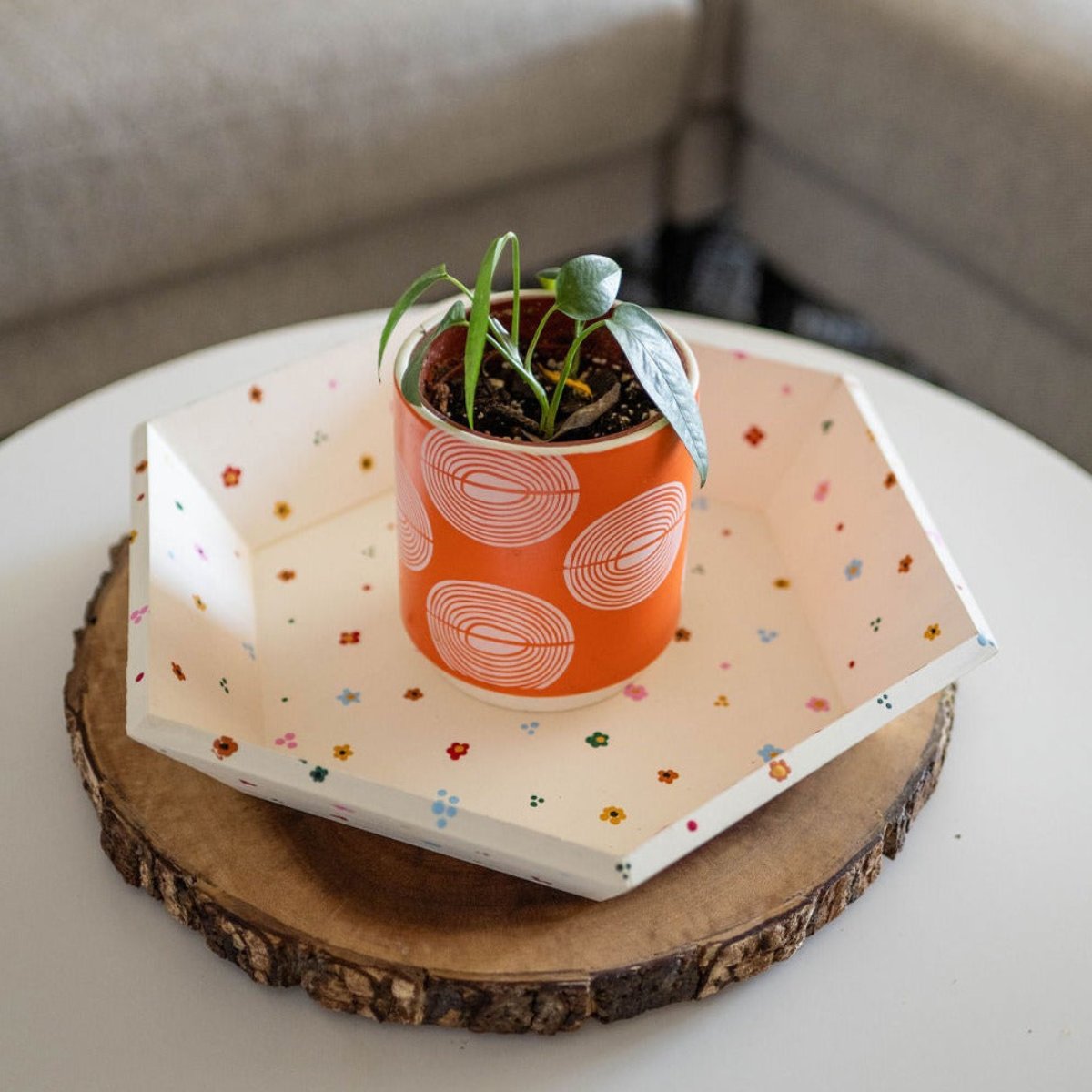 Hexagon Tray Kit