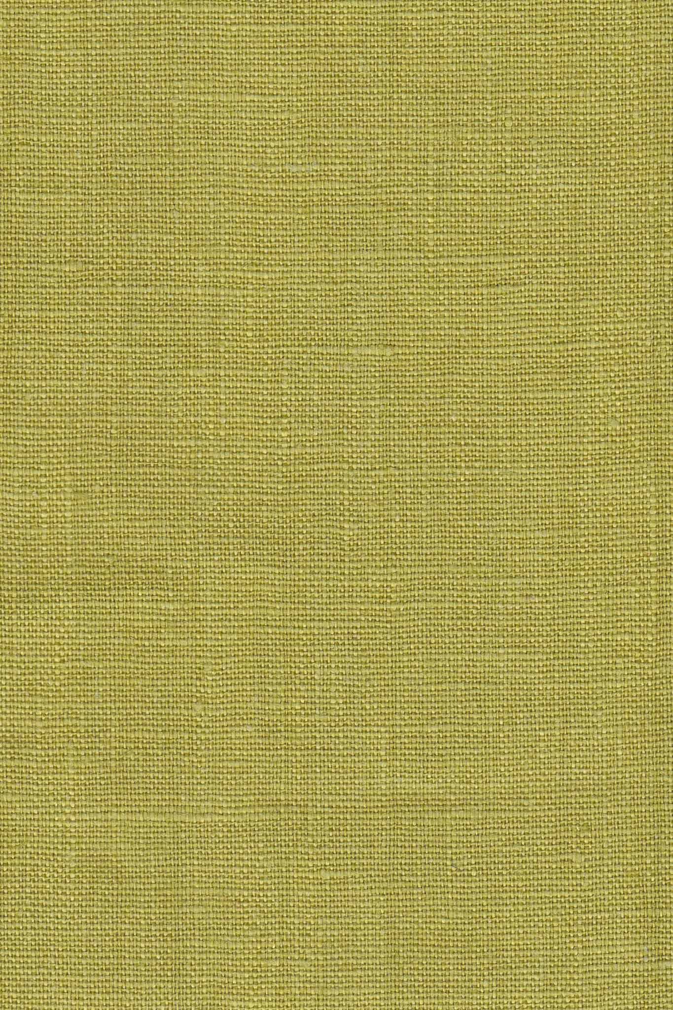 Crescent Moon Pants (Updated) in Citrus