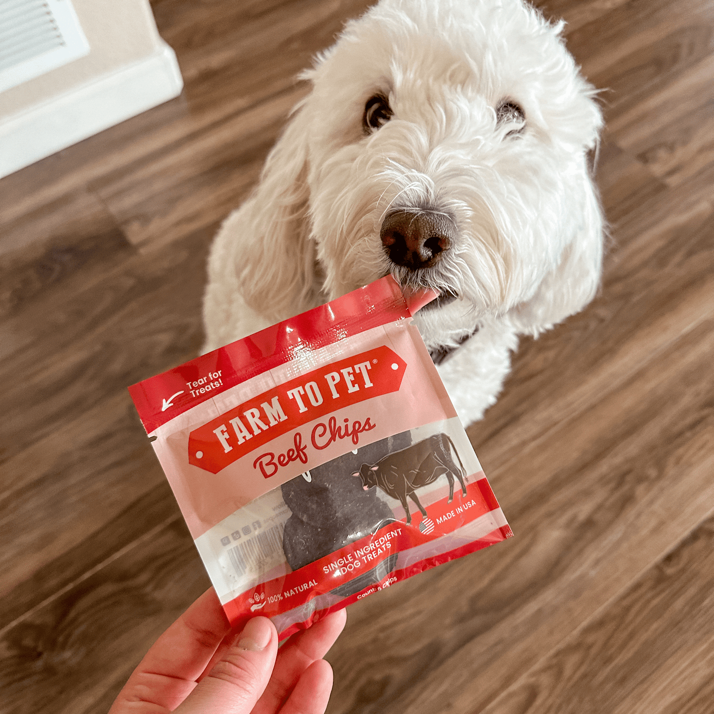 Beef Chips Snack Pack Bundles | Dog Treats for Training & Travel