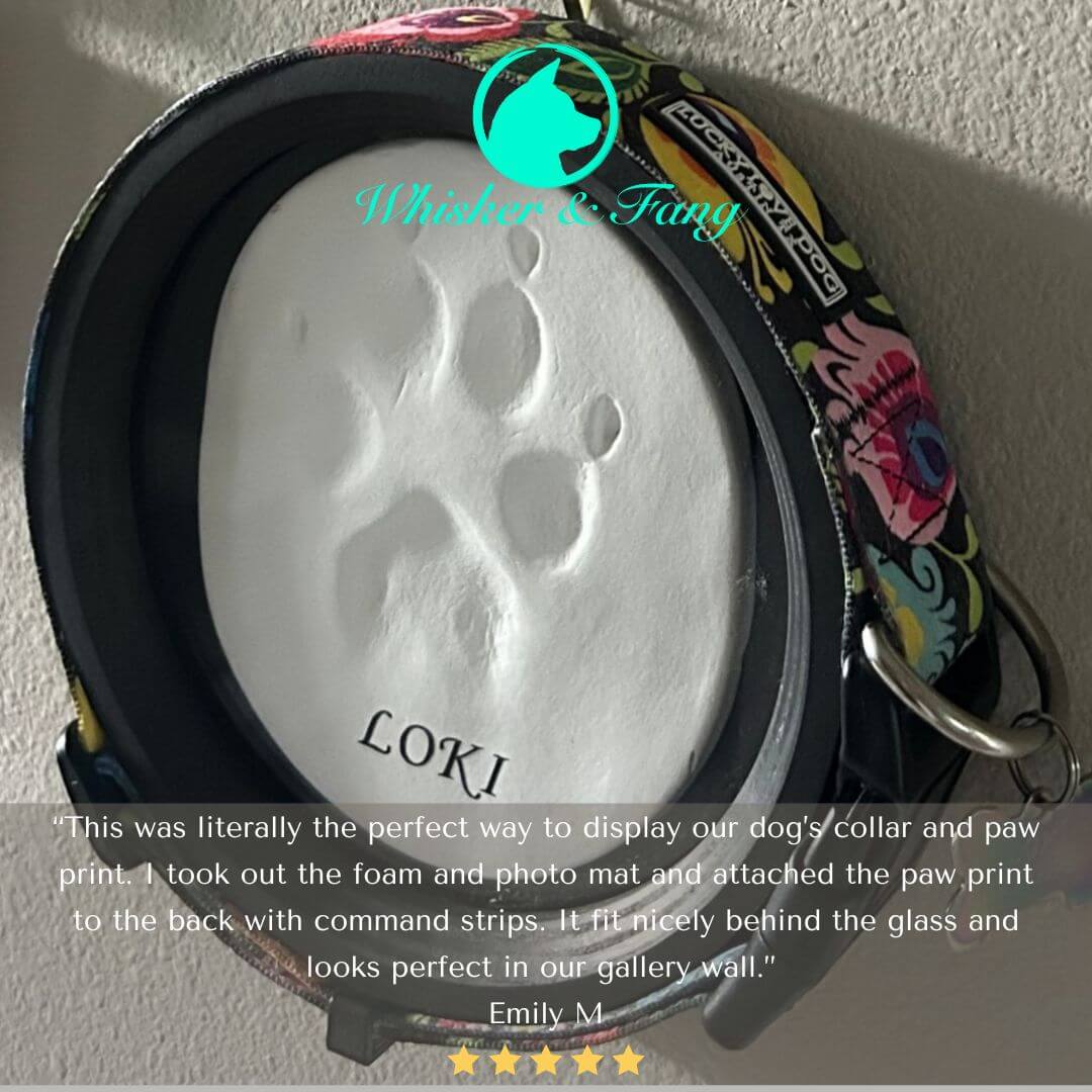Large/Extra Large Dog Collar Frame | "The Great Dane"