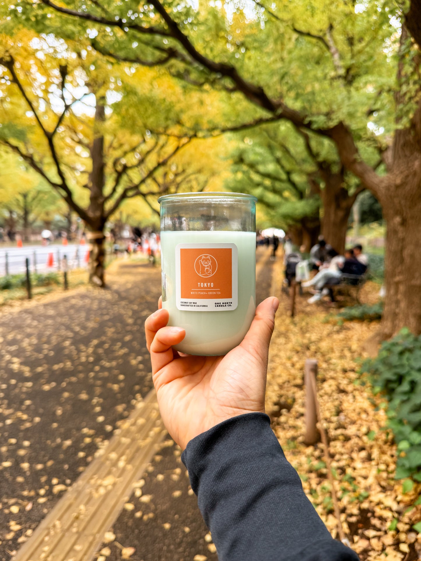Tokyo (white peach | green tea)