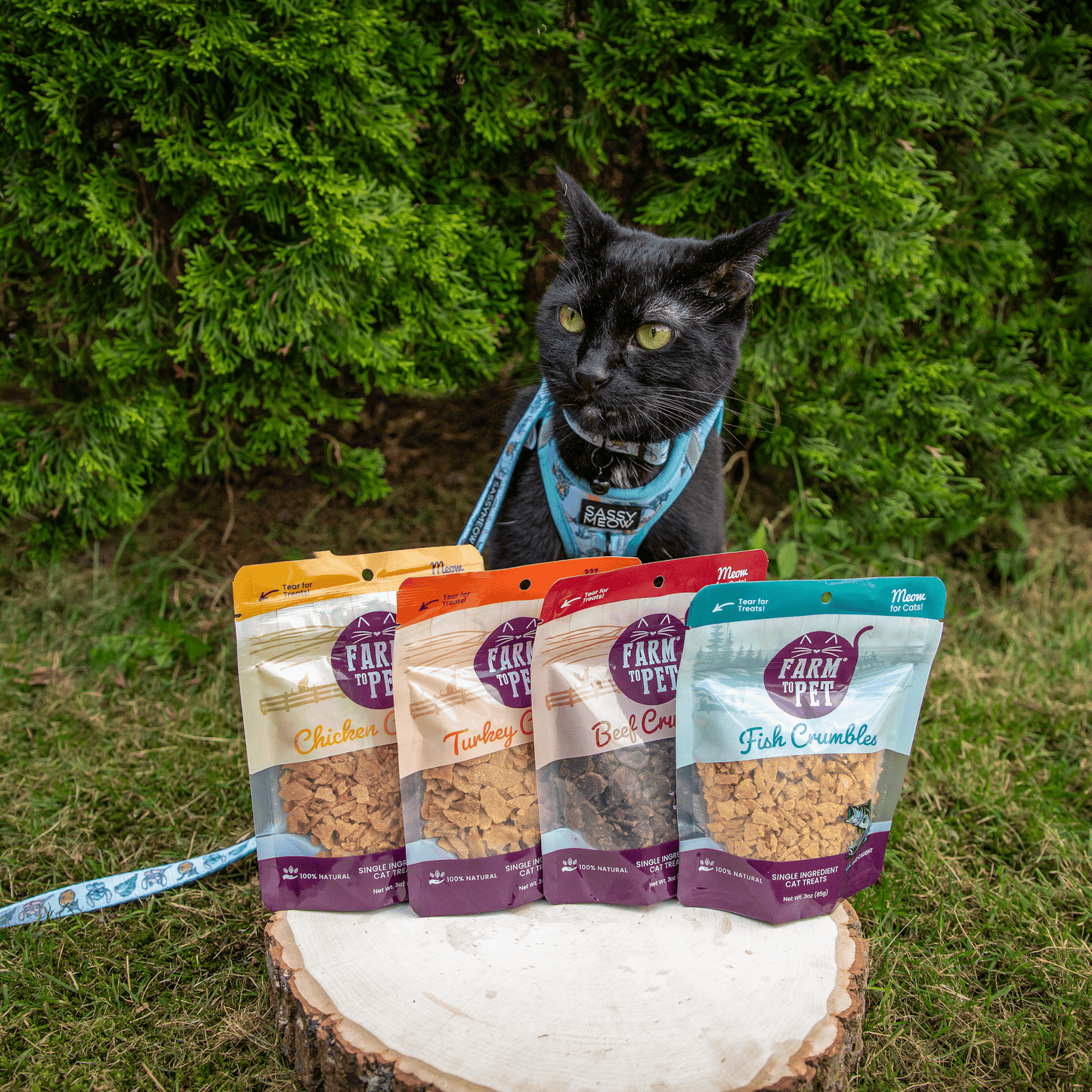 Beef Crumbles for Cats | 100% Protein Cat Treats