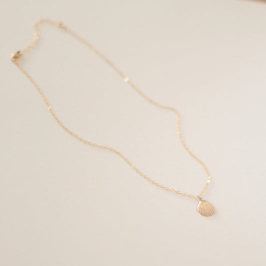 Clamshell Necklace