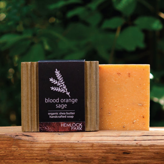 Blood Orange Sage | Organic Shea Butter Soap