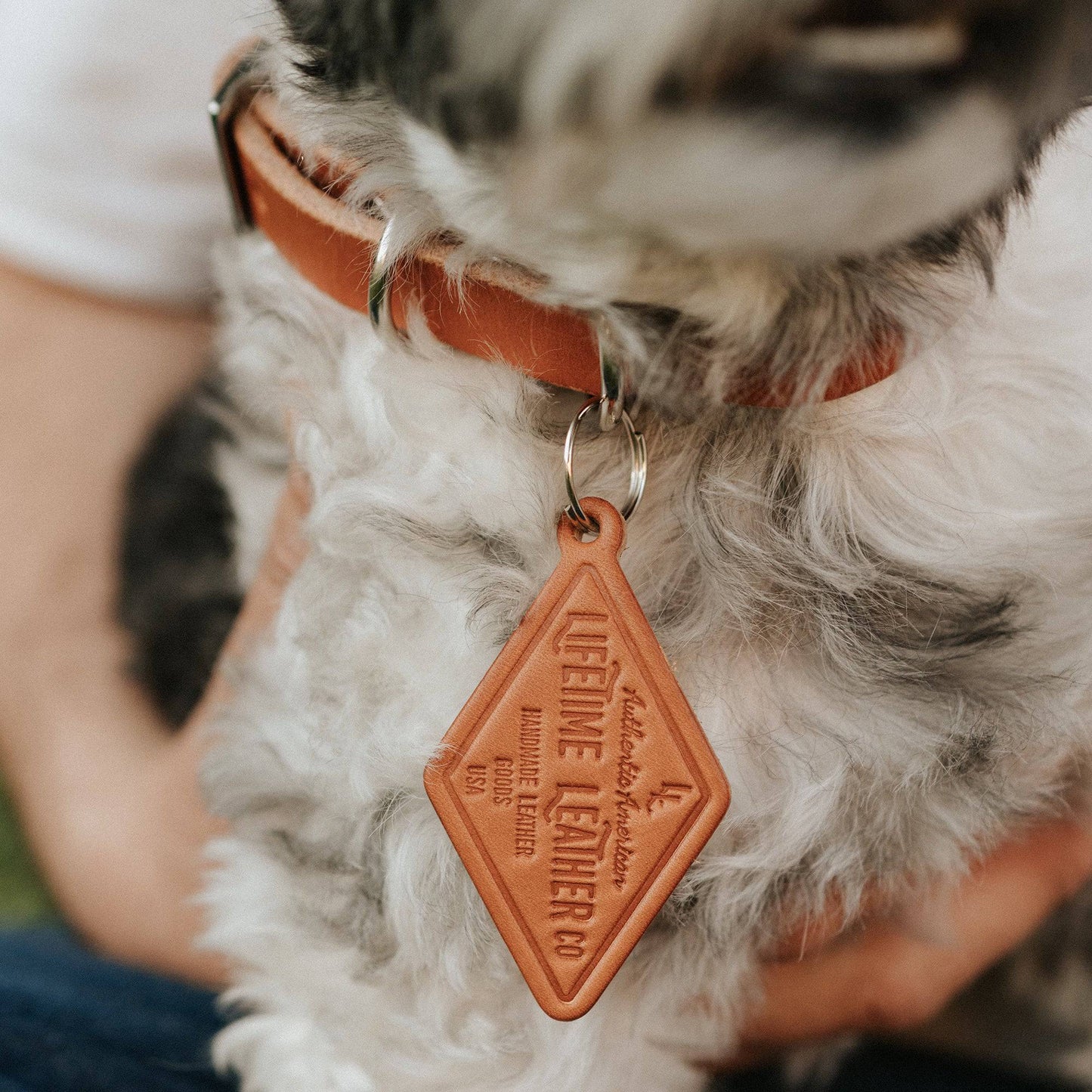 Leather Dog Collar - Classic All for American