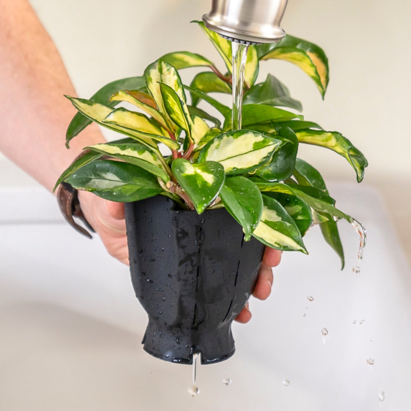 Forest Green Plant Pot