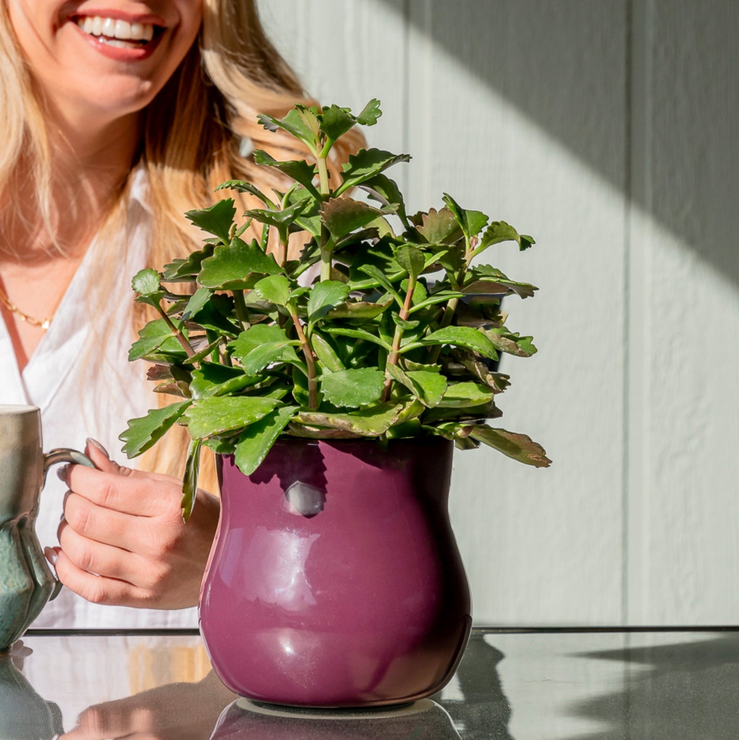 Violet Purple Plant Pot