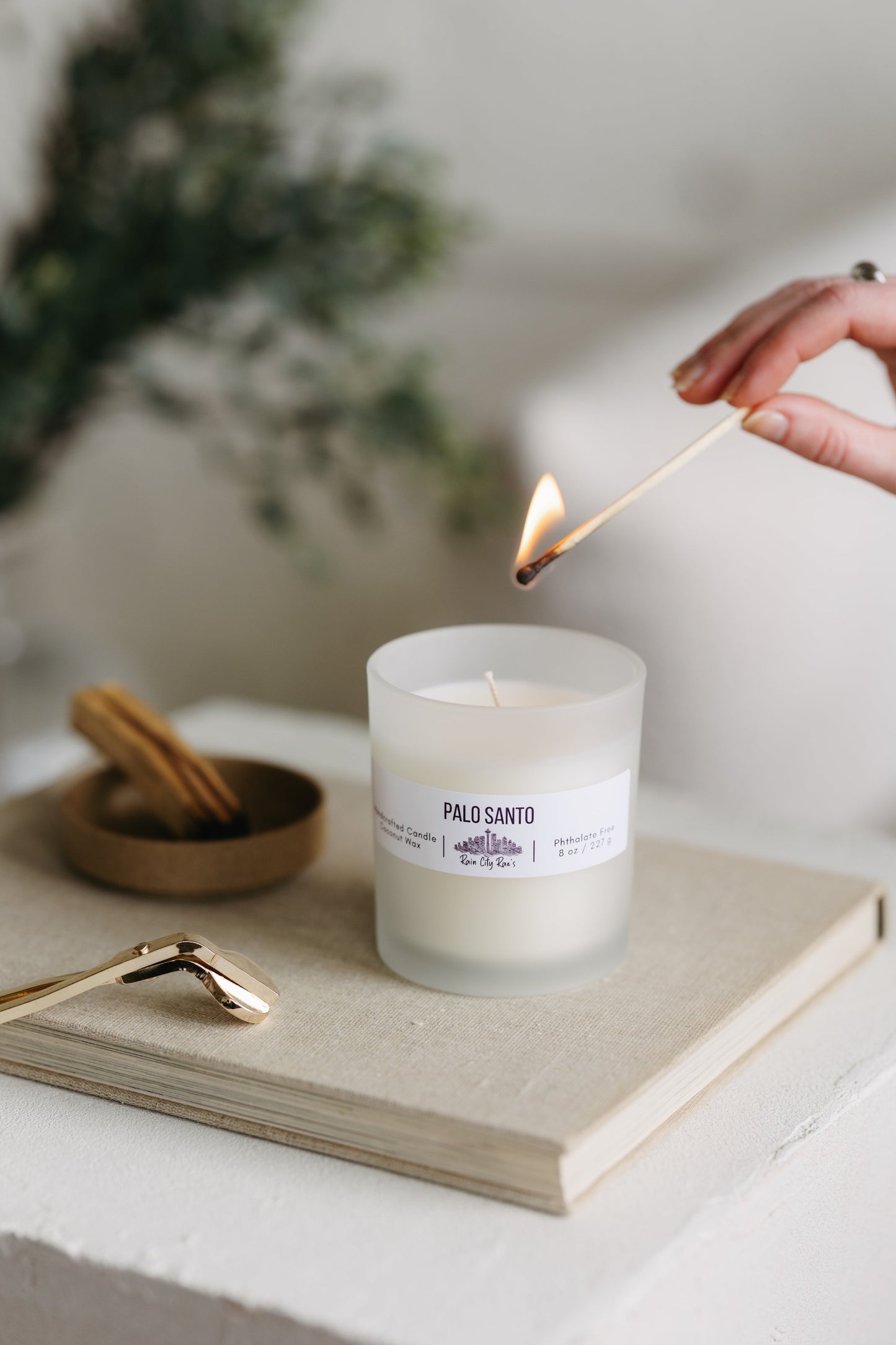 Cactus Rain 8 oz Frosted Candle | White