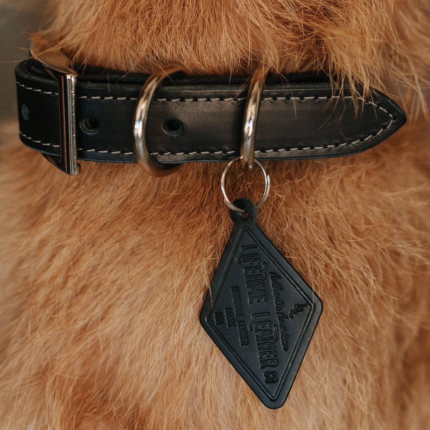 Leather Dog Collar - Designer All for American