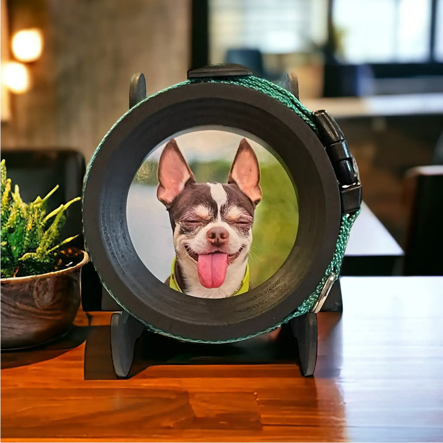 Small Dog Collar Frame | "The Chihuahua"