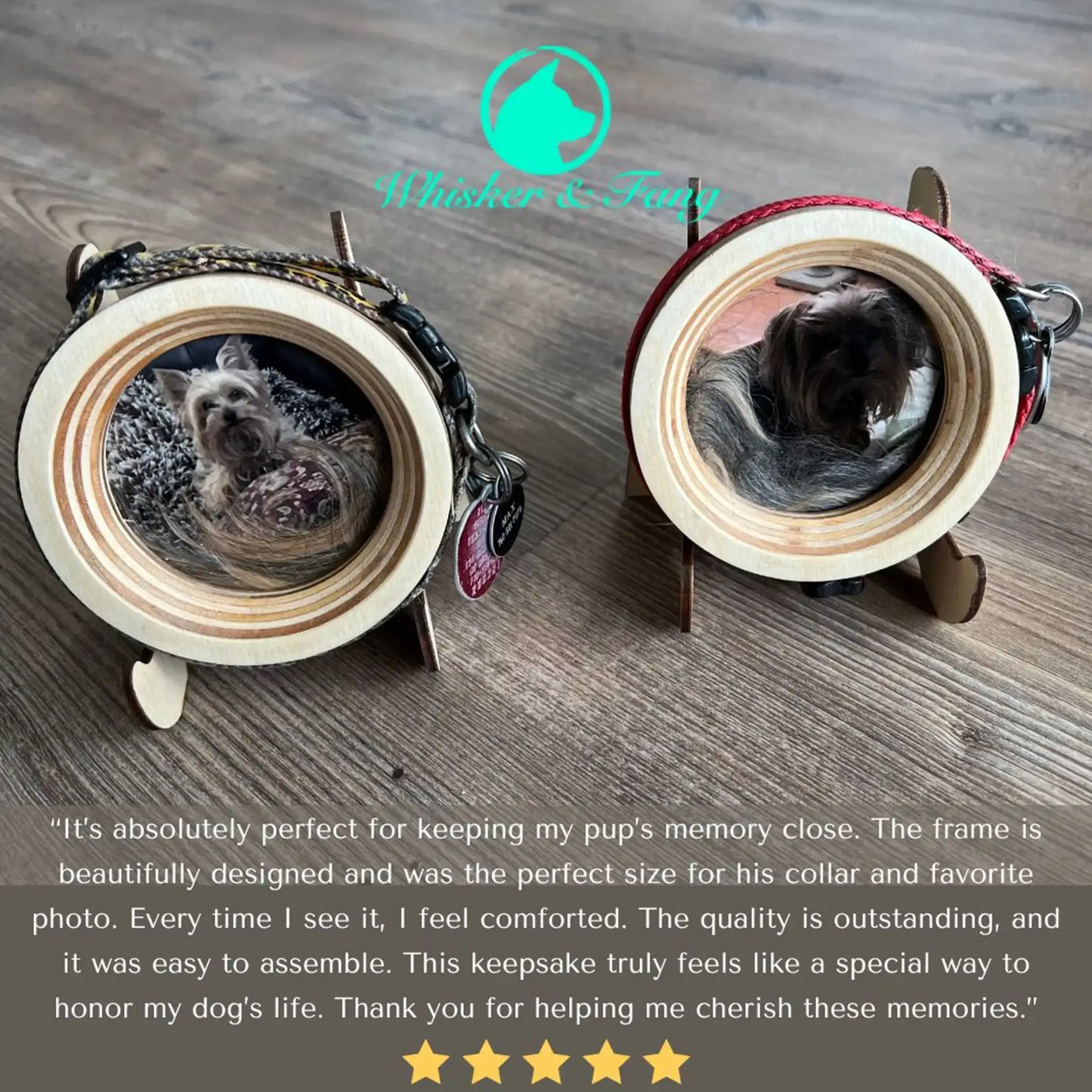 Small Dog Collar Frame | "The Chihuahua"