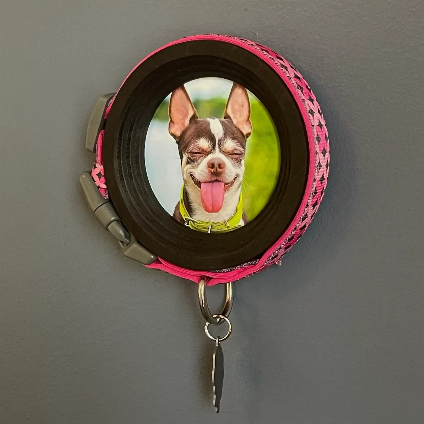 Small Dog Collar Frame | "The Chihuahua"