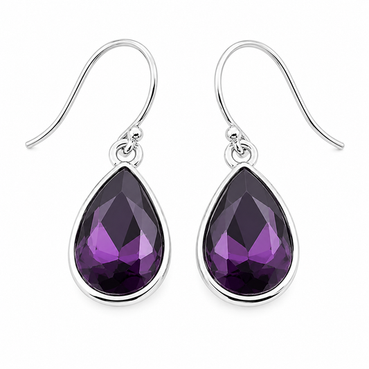 February Birthstone Earrings - Sterling Silver