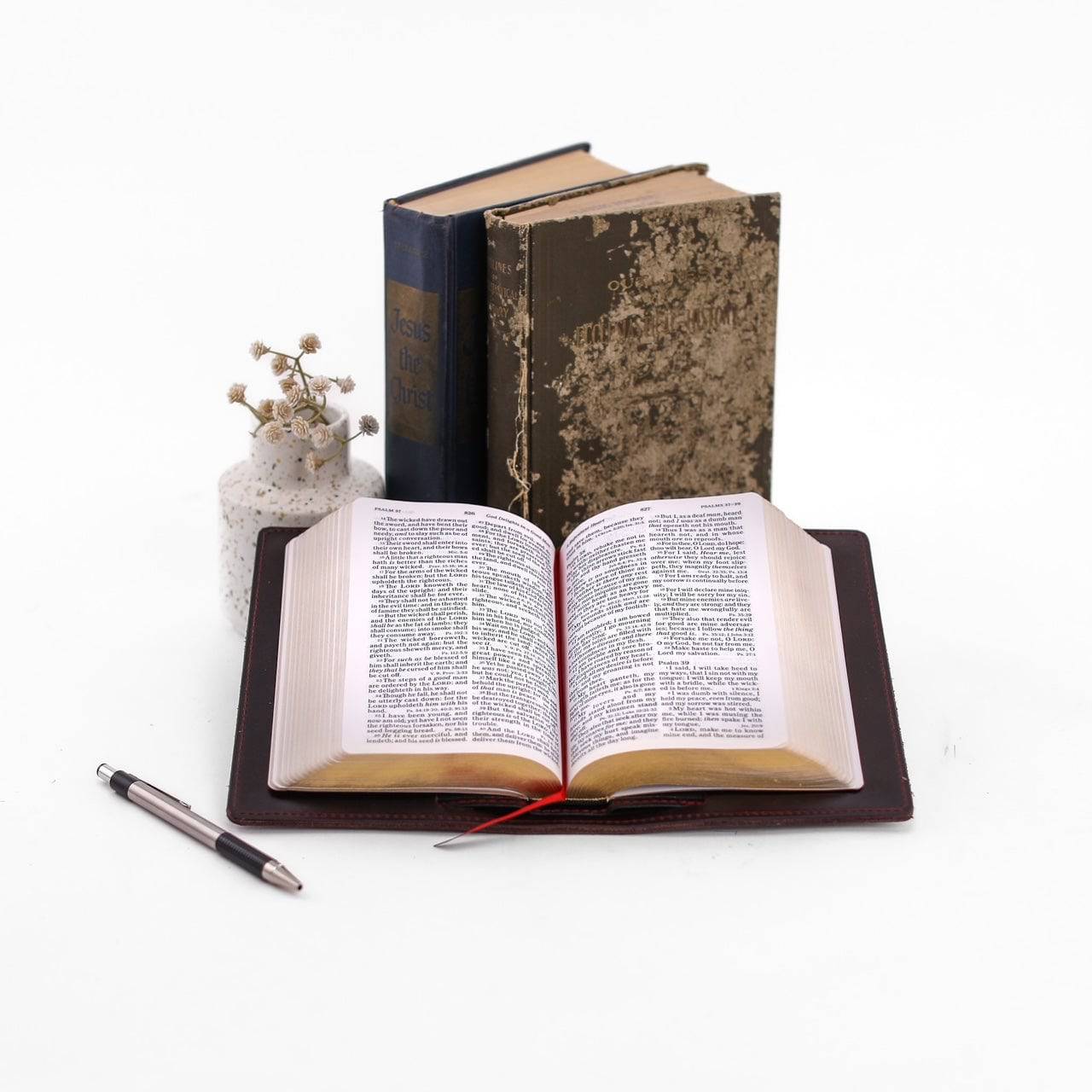 Holy Bible Cover All For American
