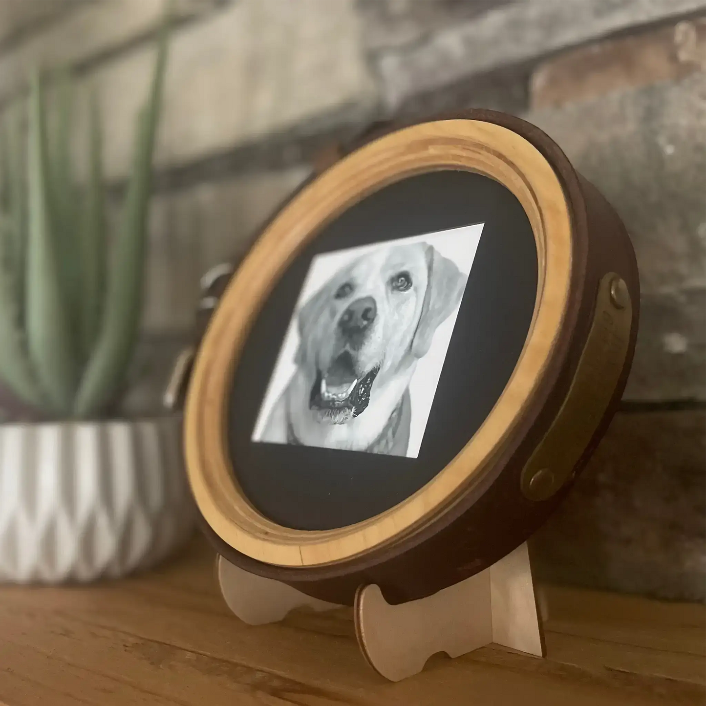 Large/Extra Large Dog Collar Frame | "The Great Dane"