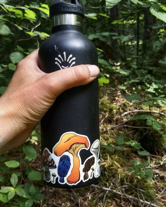 Mushrooms in color 3โ & 4โ stickers