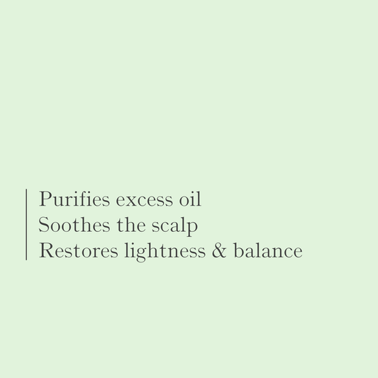 Green Tea & Aloe Clarifying Solid Shampoo