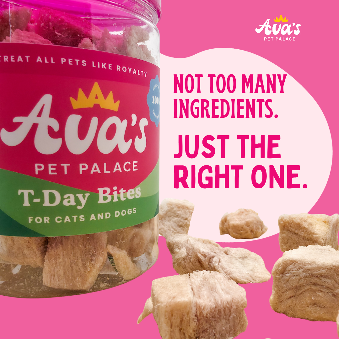 Freeze Dried T-Day Bites - Turkey Breast