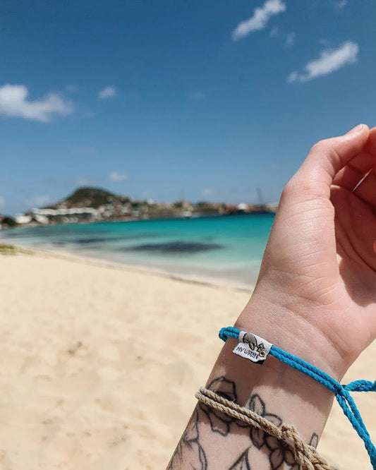 My Whale | Earth Vibes