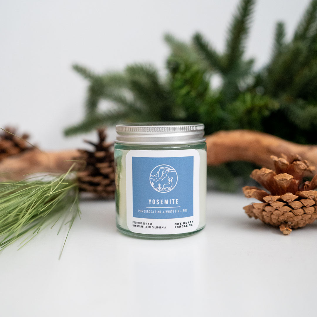 Yosemite (ponderosa pine | white fir | fog)