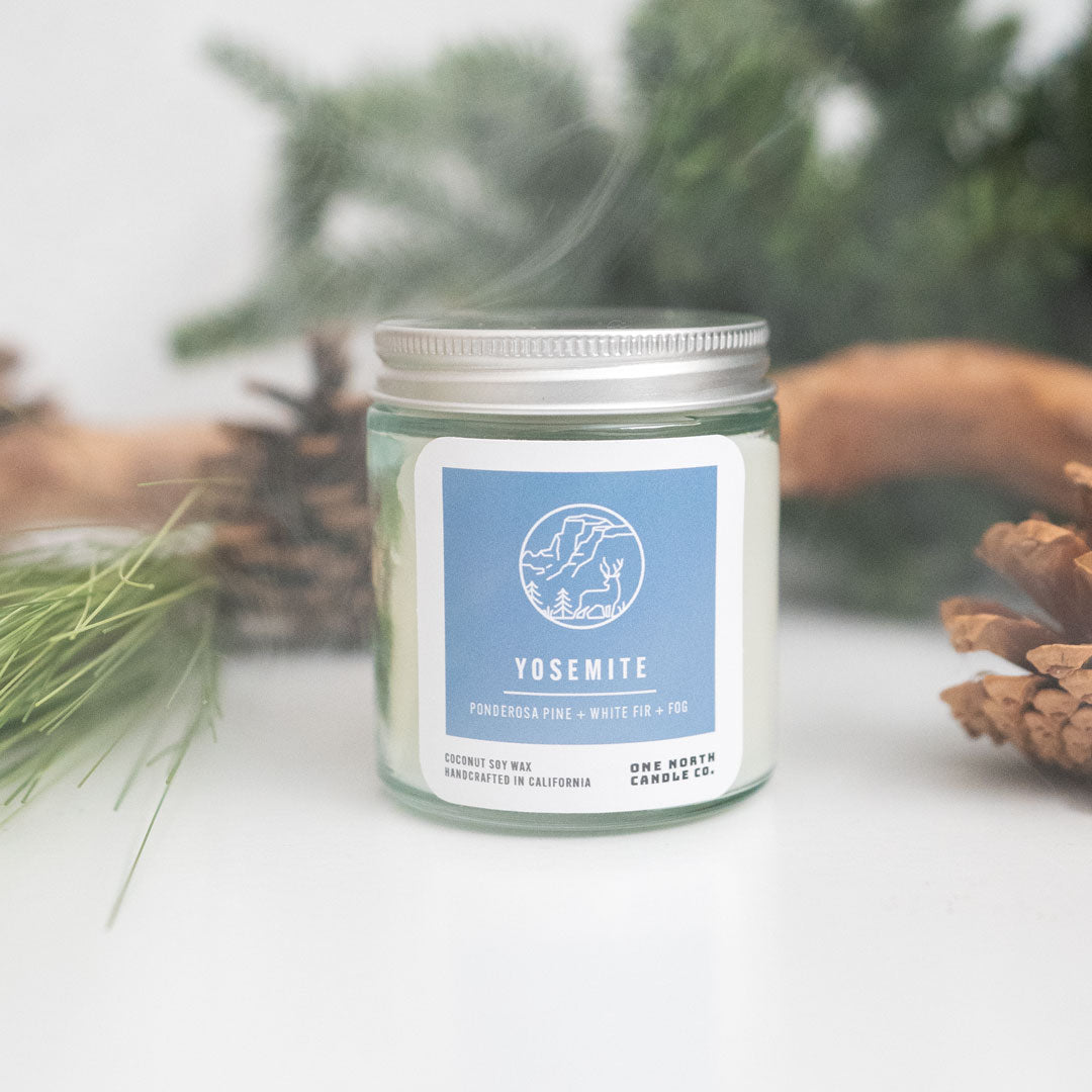 Yosemite (ponderosa pine | white fir | fog)