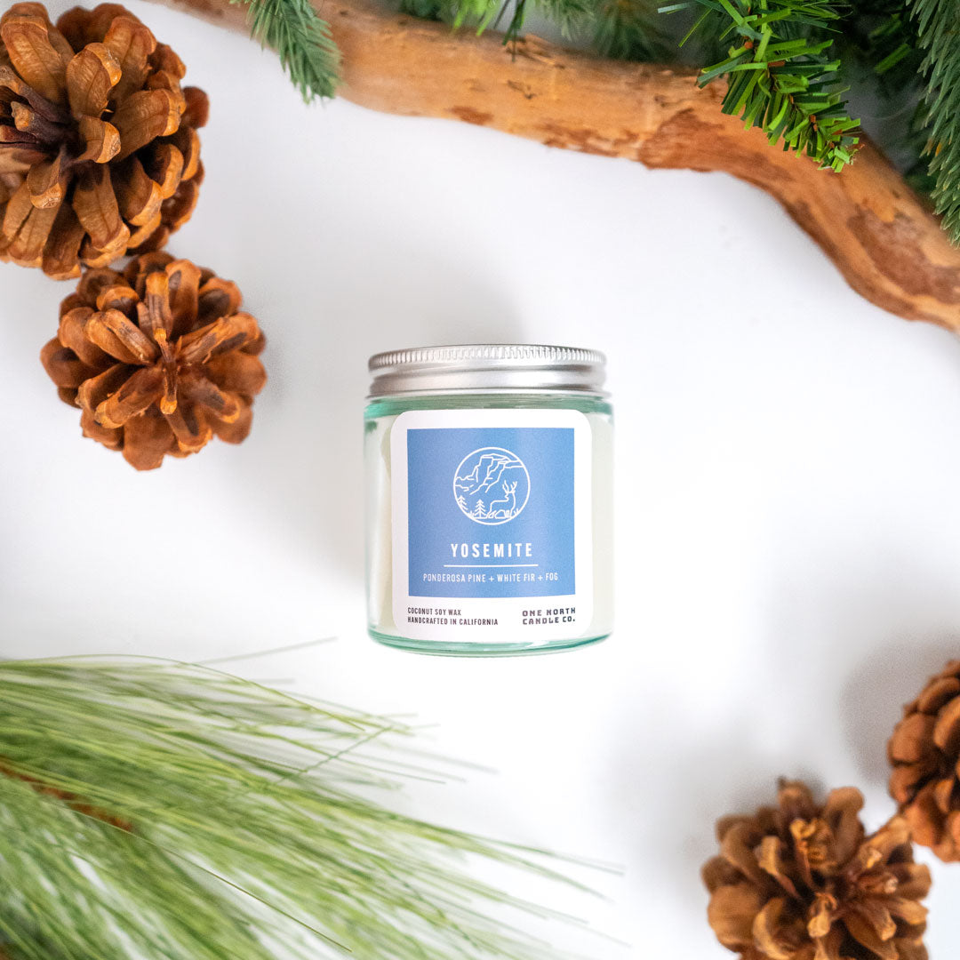 Yosemite (ponderosa pine | white fir | fog)