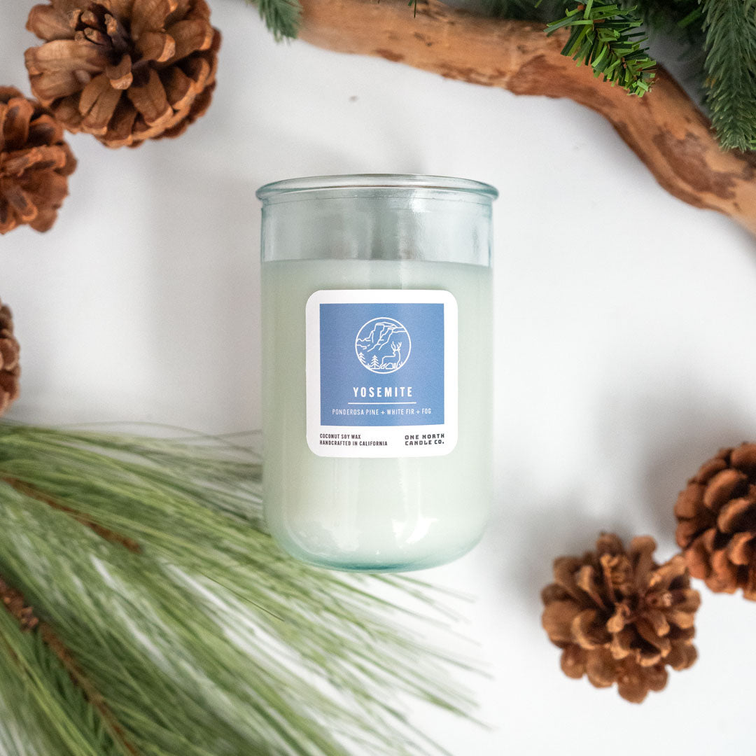 Yosemite (ponderosa pine | white fir | fog)