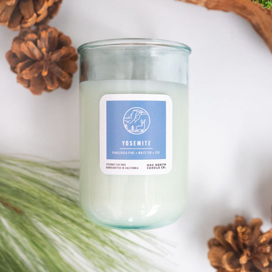 Yosemite (ponderosa pine | white fir | fog)