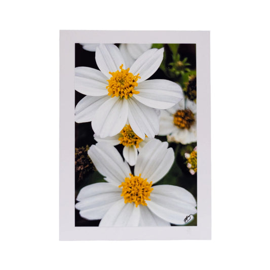 White Greeting Card | Pack of 3 | KJ Made