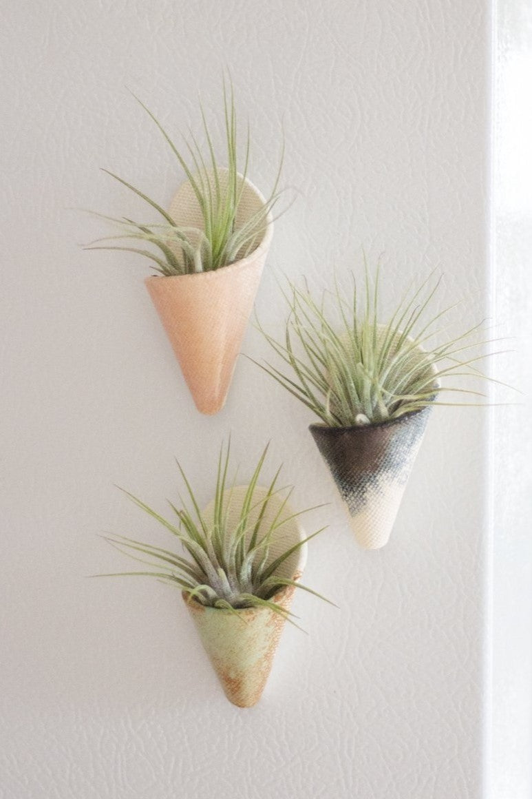 Mini Wall Planter Magnet