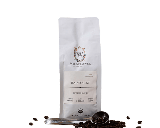 The All Day Duo Bundle | Rainforest & Evening Ember