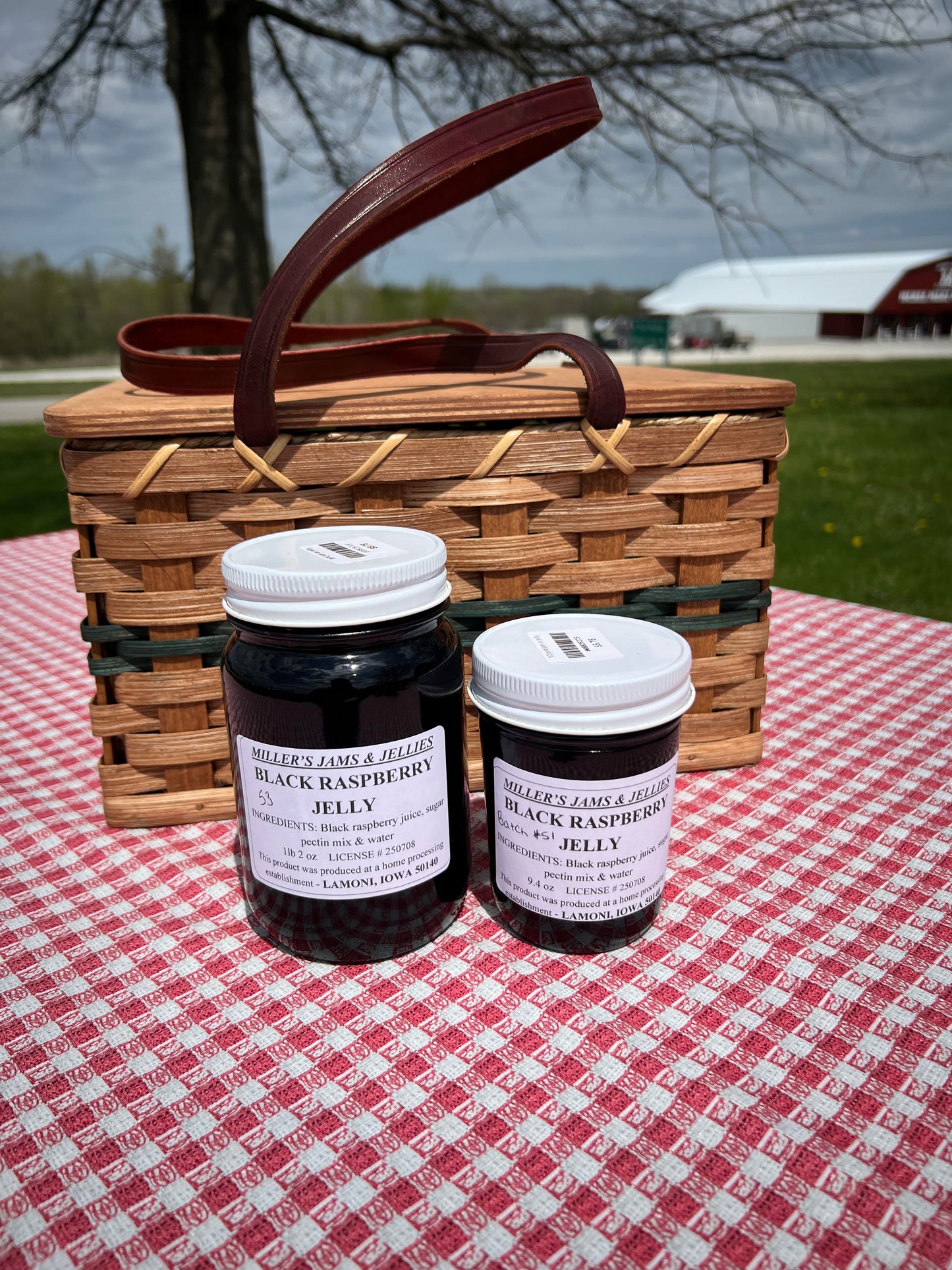Miller’s Black Raspberry Jelly | Authentic Local Amish-Made Seedless Spread