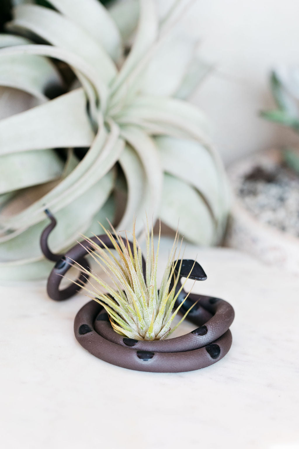 Medium Ceramic Snake