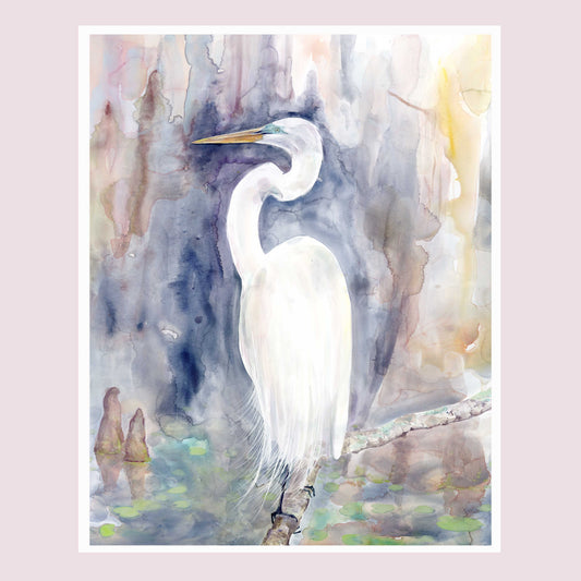 Amethyst Egret