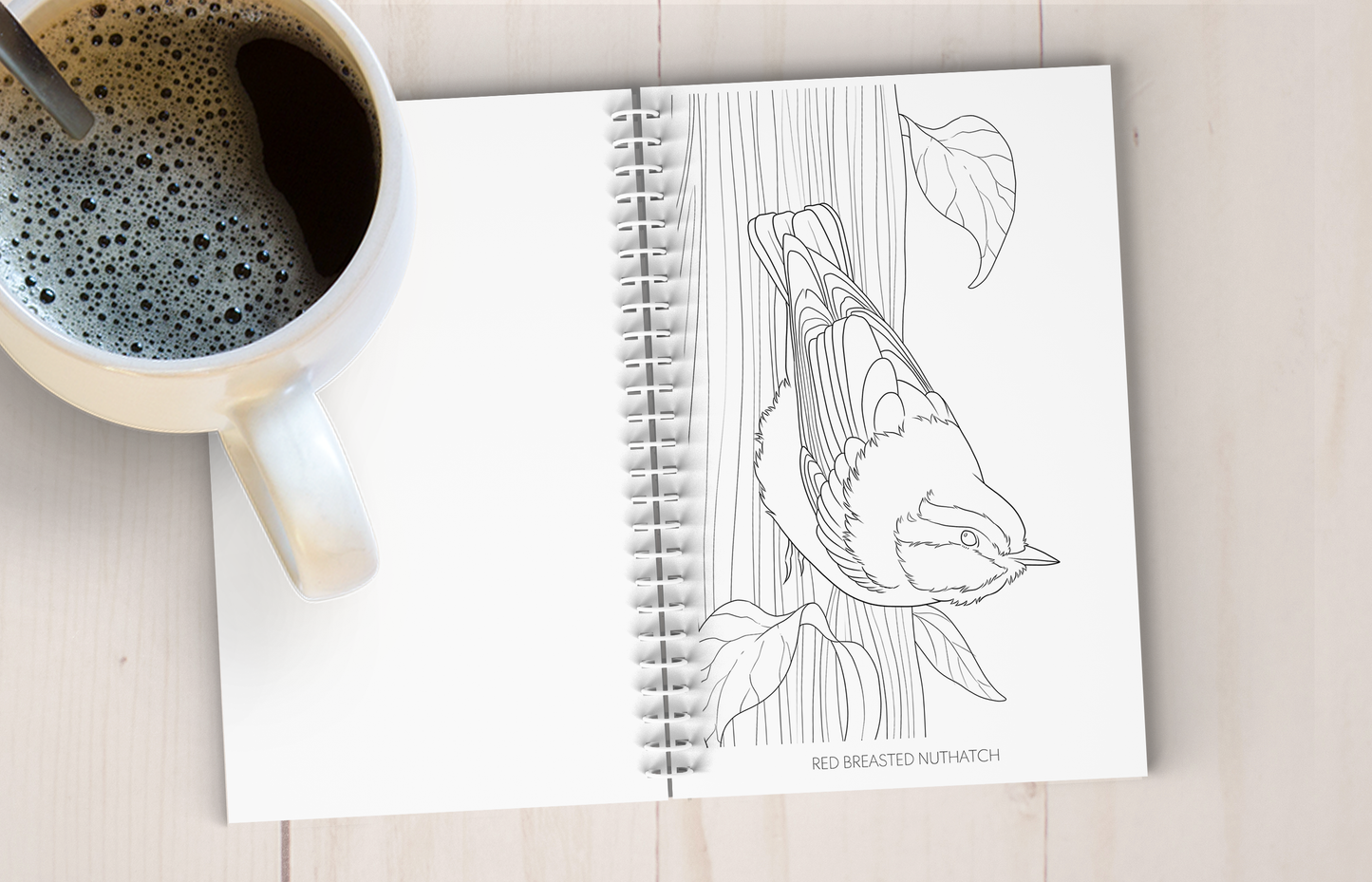 Backyard Bird Art Coloring Book
