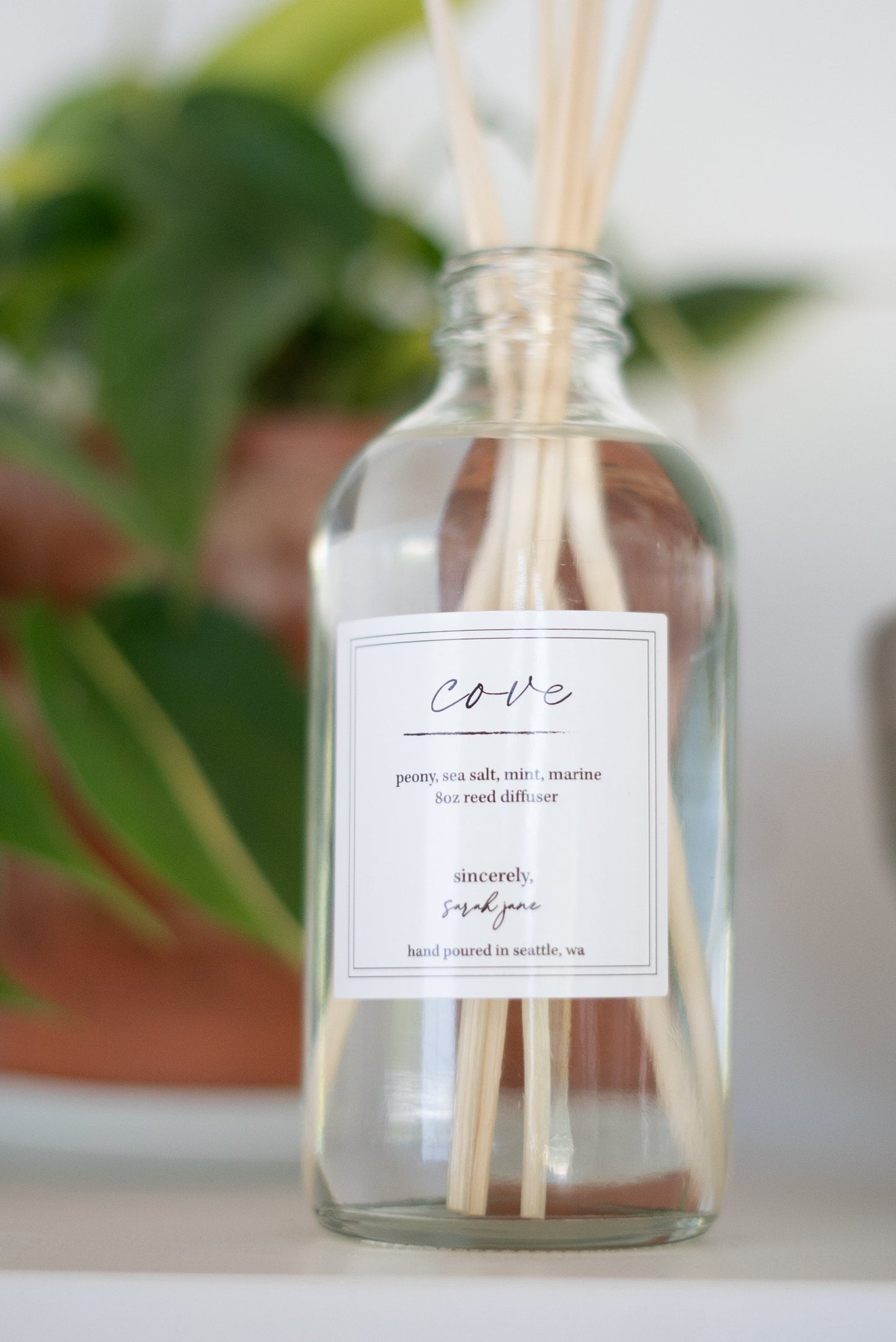 Cove Diffuser- Peony and Ocean Mint