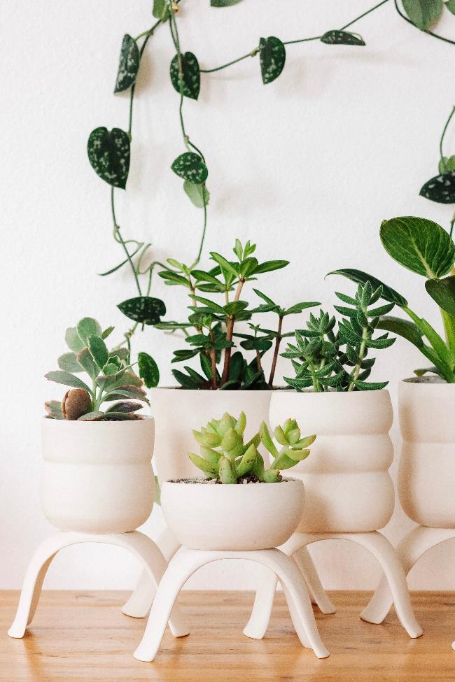 Ceramic Raised Plant Pot