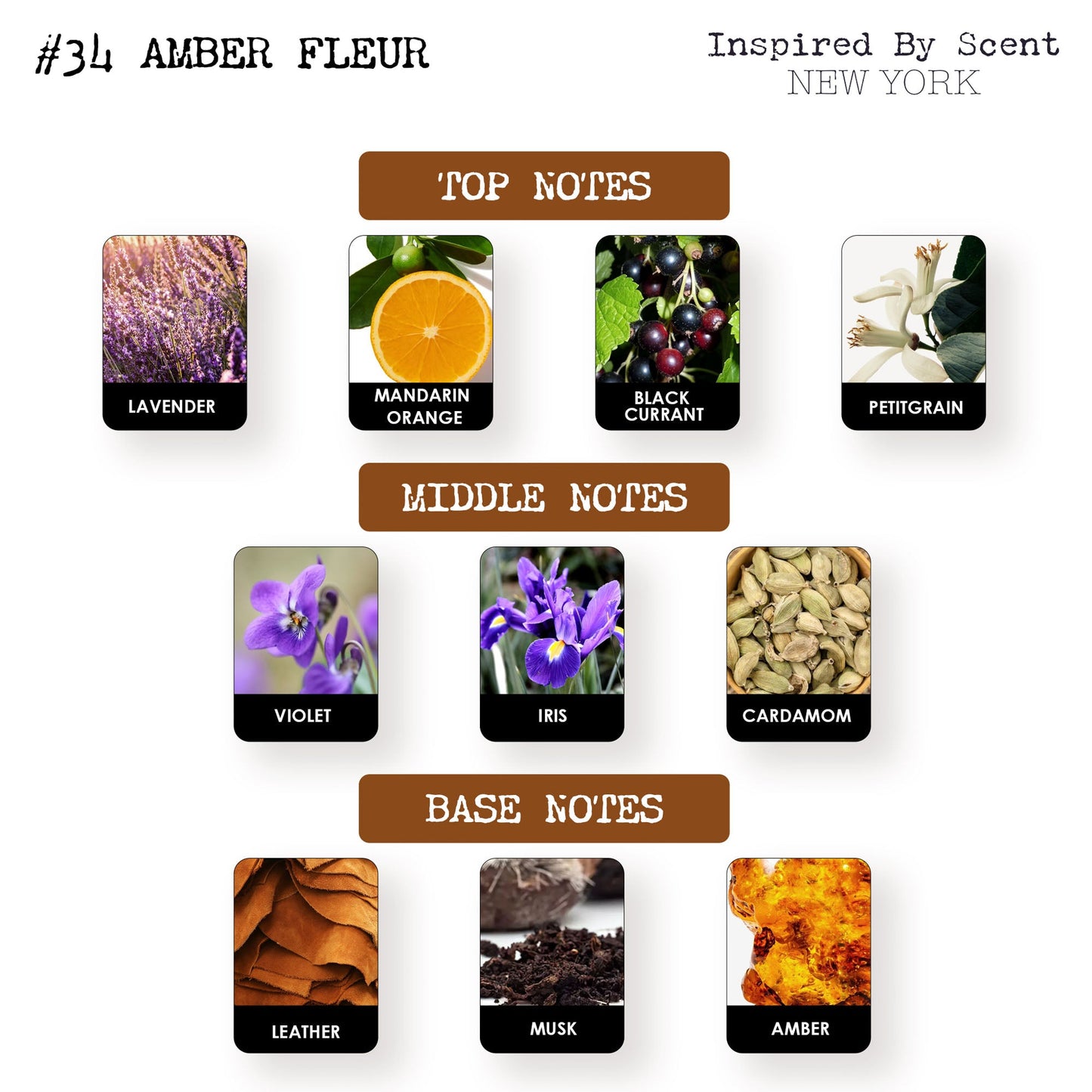 #34 Amber Fleur Parfum