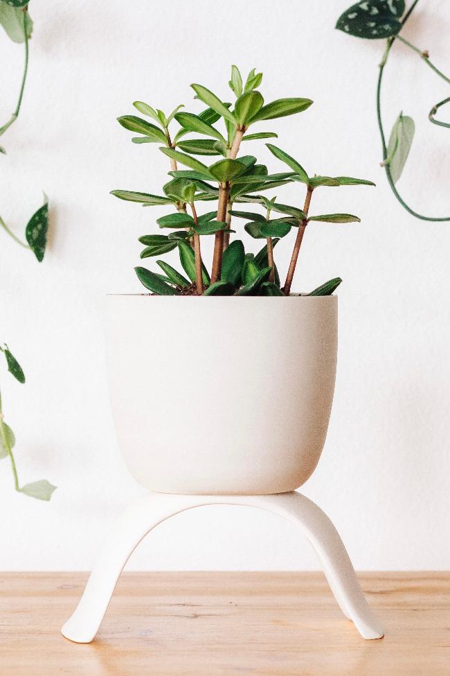 Ceramic Raised Plant Pot