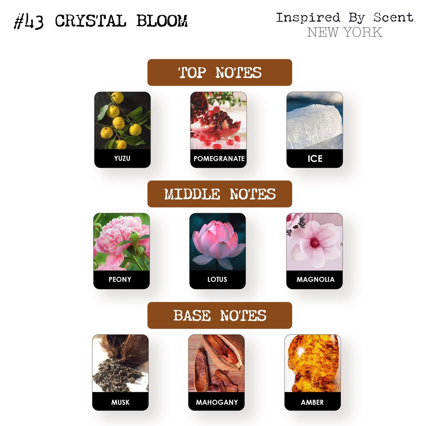 #43 Crystal Bloom Parfum