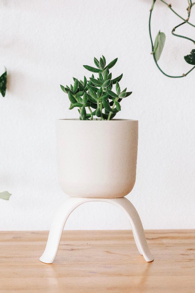Ceramic Raised Plant Pot