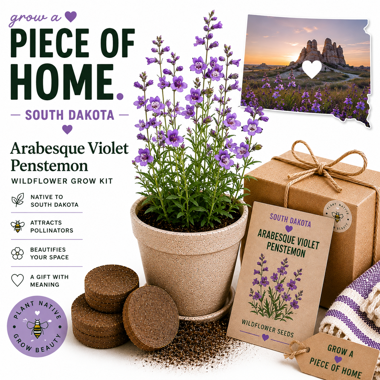 South Dakota Arabesque Violet Penstemon Wildflower Grow Kit