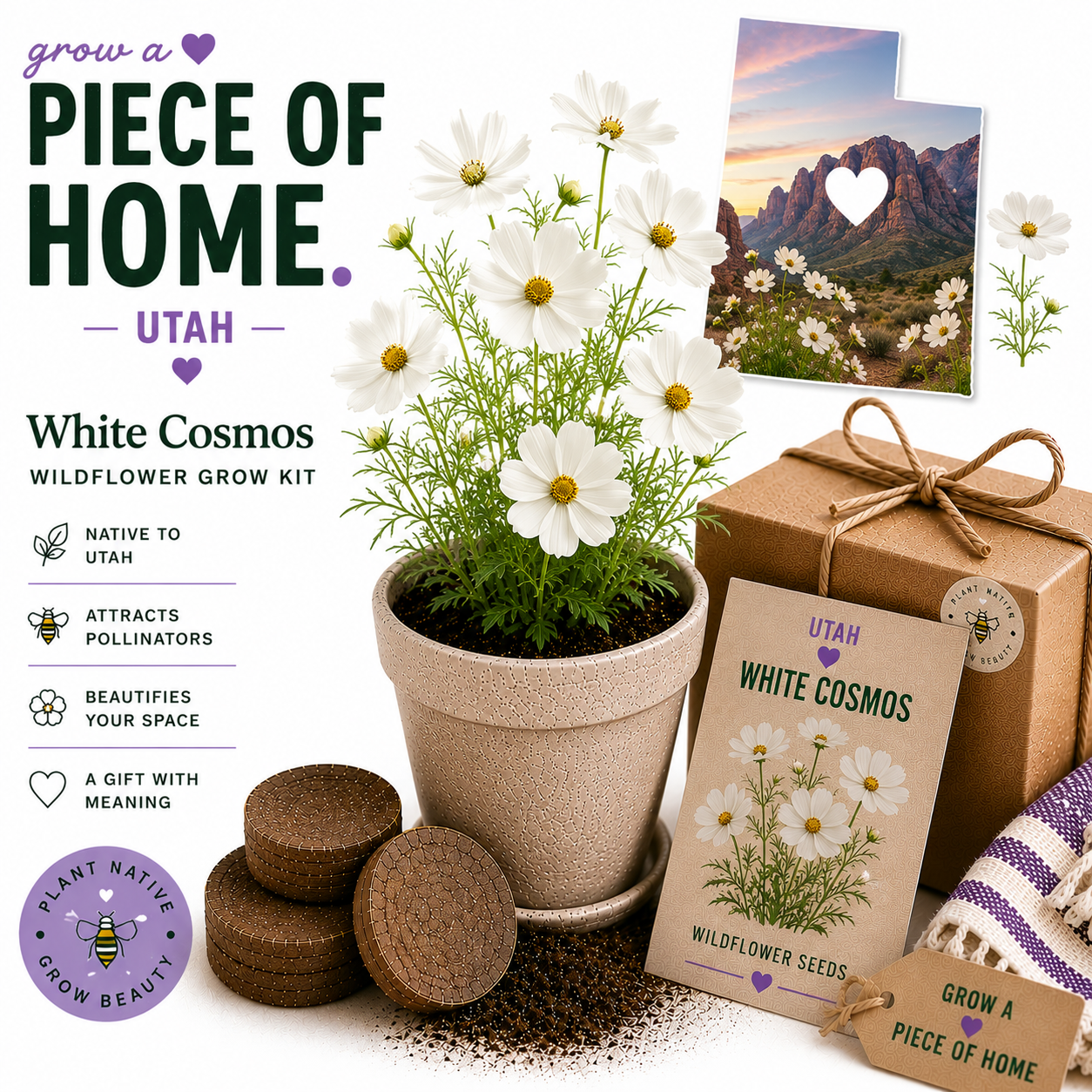 Utah White Cosmos Wildflower Grow Kit
