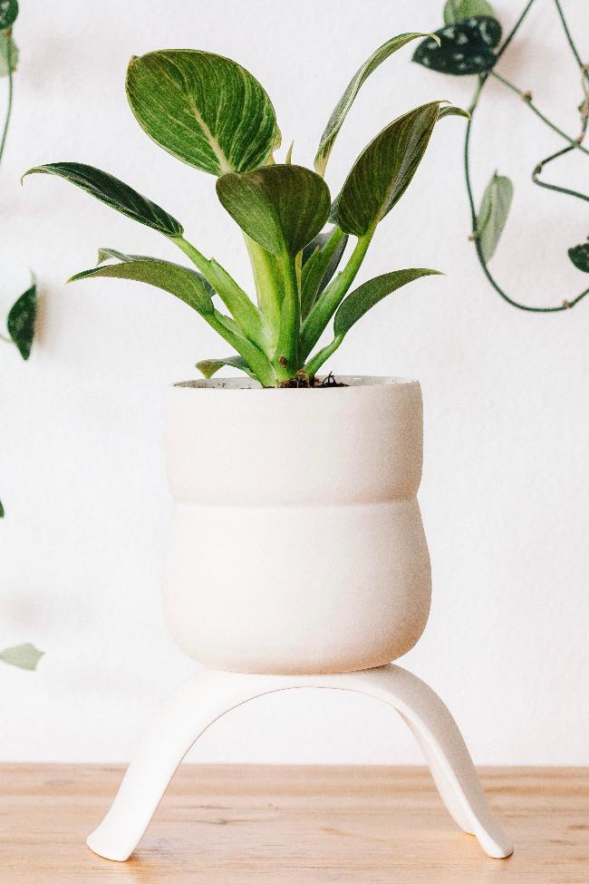 Ceramic Raised Plant Pot