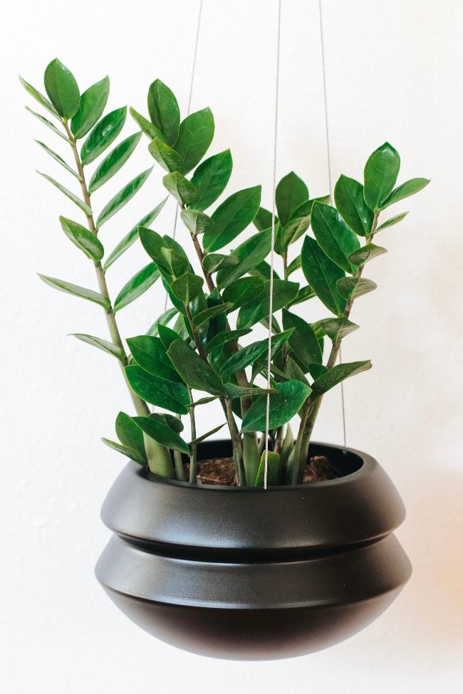 Hanging Planter